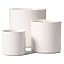 Linen Birch
