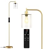 Wio-Mio Industrial Clear Shade Lamp