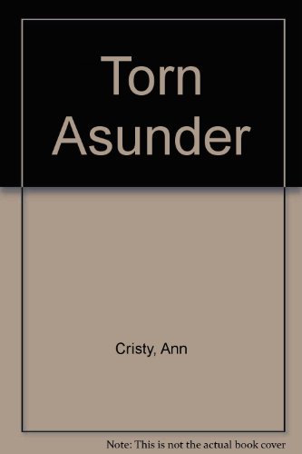 Torn Asunder view 2