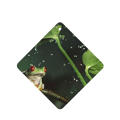 JGƉJ̎ԗpF p[\iCYꂽ̃XCX J[A}Zs[^ubg ݂艺F܃J[h [vt 4 ԂƂ̑p