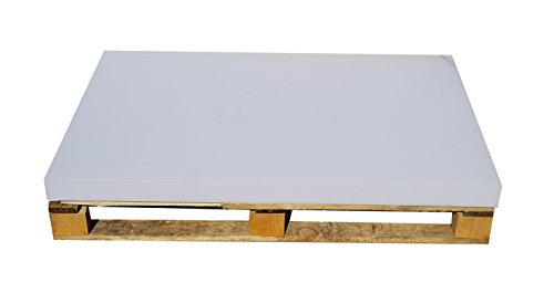 All4All Coussin Palette - Canapé Palette - Rembourrage Palette Euro - Matelas - Mousse - Coussin...