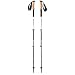Black Diamond Alpine Carbon Trekking Pole