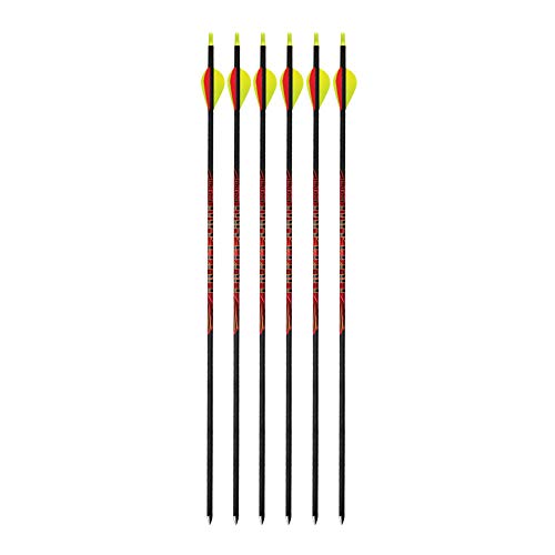 Black Eagle Outlaw 500 Spine Fletched Arrows (.005, 6-Pack)