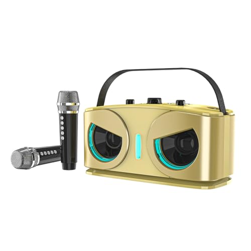 Enceinte Bluetooth Puissante SD306plus Double Micro Haute Fidélité Portable pour Fêtes