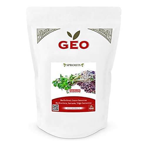 GEO Graines à Germer - Sarrasin - Graines à Cultiver Bio pour Salades et Plats avec Germination Rapide - 500g