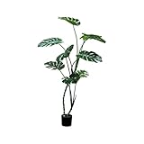 POENIA ARTE FLORAL