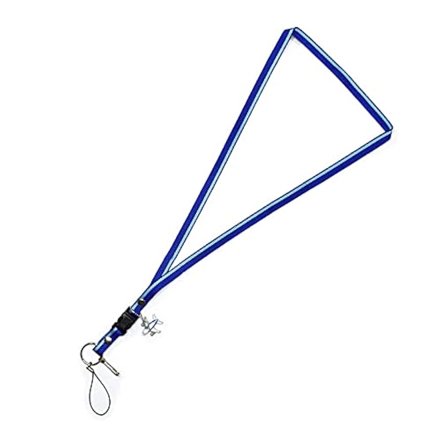 ANA 全日空 WE FLY 1ST 787 ネックストラップ 非売品 全日空 ANA