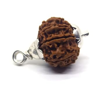 GemsTech Real 9 Mukhi Rudraksha Nepal Original Certified 9 Face Rudraksha in Pure Silver Capping Nine Mukhi Nine Face Rudraksha Nau Mukhi Rudraksha with Maa Durga Blessings 