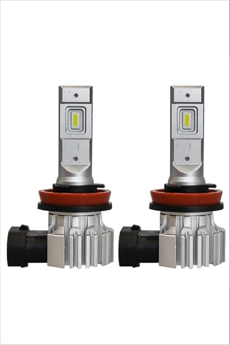 キングイエロー　サンワプロポ キングイエロー サンワプロポ キングイエロー サンワプロポ キング