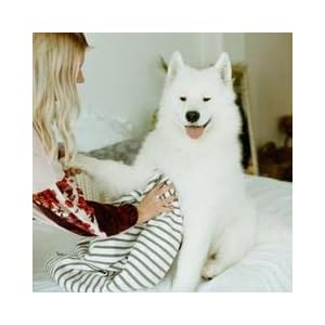 Earthbath Oatmeal  Aloe Grooming Wipes  Dog Wipes for Paws and Butt Best Pet Wipes for Dogs  Cats Helps Relieve Itchy  Dry Skin Made in Usa Crueltyfree  Vanilla  Almond 30 Count 1 Pack  Cucciolini Doodles Earthbath oatmeal  aloe grooming wipes  dog wipes for paws and butt best pet wipes for dogs  cats helps relieve itchy  dry skin made in usa cruelty free  vanilla  almond 30 count 1 pack   cucciolini doodles