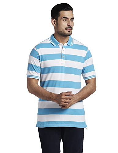 Image of Colorplus Men's Cotton Polyester Blend Stripe Pattern Tailored Fit Polo Neck Half Sleeve Casual T-Shirt