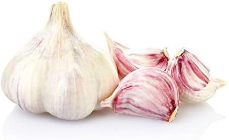 Aglio ROSSO da semina 500 g – bulbi selezionati per coltivazione e orto domestico – alta resa e facile germinazione - SCONDIZIONATO - CON LOTTO E PROVENIENZA - con assistenza tecnica agraria