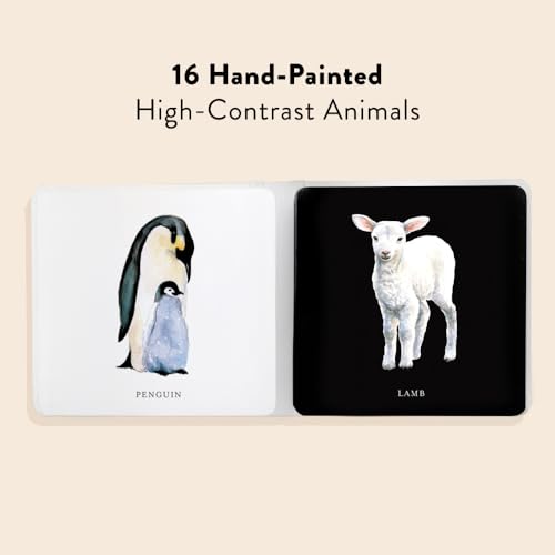 Baby's Black and White Contrast Book: High-Contrast Art for Visual Stimulatio...