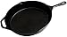 FS Kitchen Pre-Seasoned Cast Iron Cookware Pan, 12.5-Inch