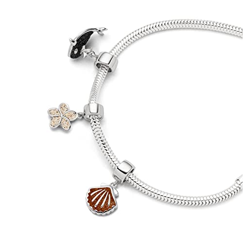 Charm muschel ámbar DUR de plata rodiada que no se oscurece con el uso 2