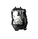 Poxtedsr Projektorlampe NP16LP Ersatzlampe Kompatibel mit NEC M300W M311W M300XS M260WS M361X M300XSG M350X, Warmweiß/Coolweiß, 210 Watt, 1 Stück