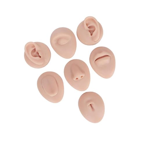 Modelo de silicona reutilizable para práctica de perforación facial 3