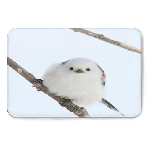 �V�}�G�i�K �J�[�y�b�g ���O ���O�}�b�g �O�~ �􂦂� �L�b�`���}�b�g 3�� ���� �􂦂� ���փ}�b�g ���� �G�� �O�b�Y ���܂��Ȃ� �G�i�K �� ��̗d�� �Ƃ� 60x90 cm(24x36 Inch)