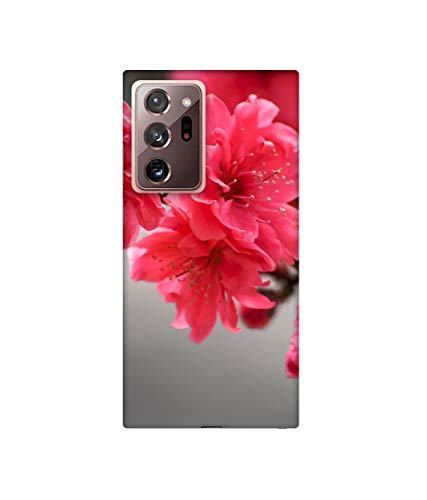 Image of Amazon Brand - Solimo Designer Blossom Like Flower 3D Printed Hard Back Case Mobile Cover for Samsung Galaxy Note 20 Ultra
