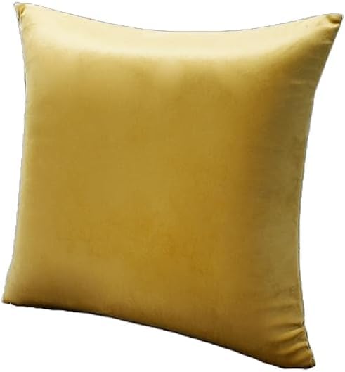 Eminence Home Kasper Premium Memory foam Velvet Cushion/Pillow, 45x45cm with Removable & Washable cover and added protection layer for Hygene and Durability.