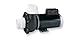 Gecko Alliance 08342761-2041 Pump XP3, 4 HP, 230V, 2 Speed, 56 Frame, Flomaster