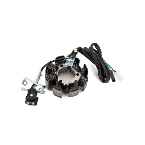 Bobine de stator de générateur CRF150F pour rouler serein en forêt