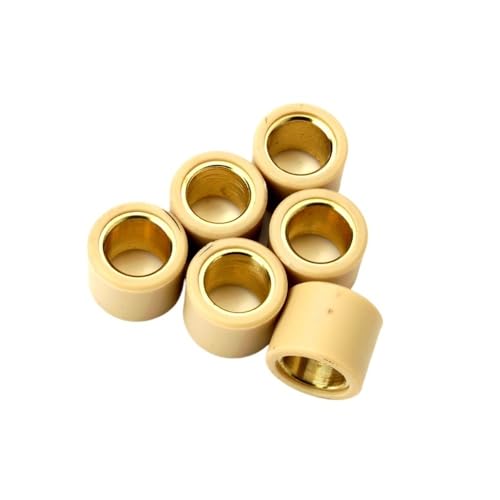 Poids de variateur 21x17 mm galets 13g pour moteur 250cc et 300cc 849480