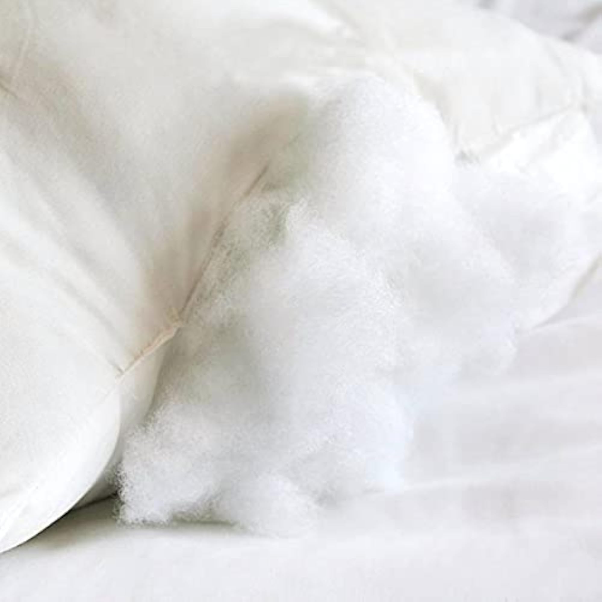 Bee's Microfiber Circular Pillow Inserts, Set of 2