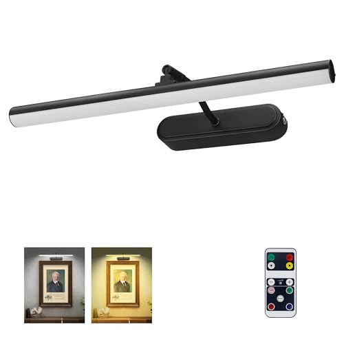 RAIFOOLLY Picture Light,3AA Battery Wall Lights,Wireless Art Lights for Paintings,Remote Control Accent Light with Timer and Dimmable for Frame,Portrait,Mirror-Black