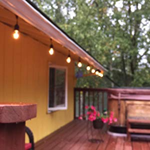 Rolay S14 String Light Bulbs, 2W Plastic Led Replacement Bulbs For Outdoor Patio String Lights With E26 Base, Pack Of 25 (Led-Clear) #TOP7