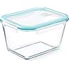 NUTRIUPS 2.7QT Glass Large Loaf Tin with Lid, 9x5 Inch Deep Loaf Bread Baking Nonstick Pans with Airtight Lids, Rectangular Bread Tin for Homemade Meatloaf Sourdough