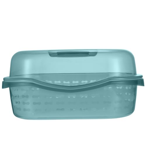 TOYANDONA _uroXPbg Wt@\Lb`Xg[i[ H튣 [{bNX xr[{gP[X t[cؐpI[