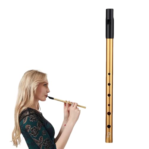 Irish Tin Whistle D Whistles Premium Six-Hole Penny Slide Whistles for Wind Instrument Beginners Intermediate and Expert Band Performances(Gold)