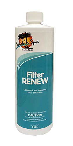 Filter Renew, 1 QT