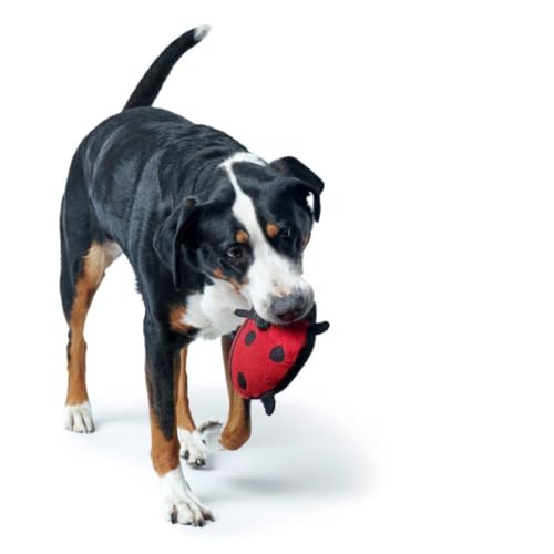 HUNTER Hundespielzeug Florenz Farbe Marienkäfer, Größe 20 cm