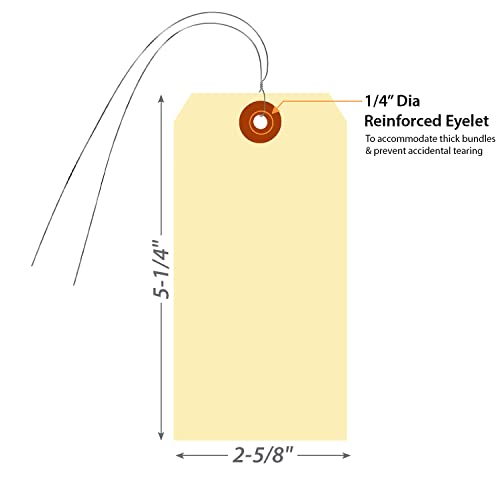 Smartsign Blank Manila Shipping Tags With Wire, Size-6, Pack Of 100, 13Pt Thick Prewired Cardstock Tag, 5.25 X 2.625 Inch Paper Hang Tags With Reinforced Fiber Patch #TOP3