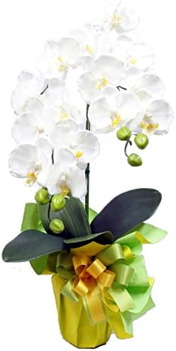高級胡蝶蘭2本立ち 光触媒 シルクフラワー 造花 ホワイト 造花 オンライン通販 高級胡蝶蘭2本立ち 光触媒 シルクフラワー 造花 ホワイト 造花 オンライン通販