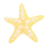 HOUDERCO パール 庫 レー 水族 レー 星 レー 星 レー オーナ