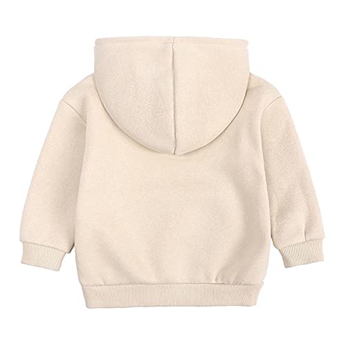MODNTOGA Toddler Baby Hoodie Long Sleeve Pullover Hooded Sweatshirt Kids Boy Girl Basic Solid Sports Tops Fall Winter Outfit2