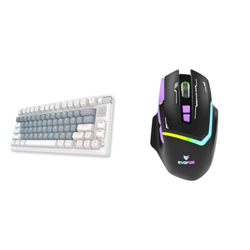 Image of EvoFox Ronin Wireless TKL Mechanical Keyboard (BT+2.4GHz+Wired) & EvoFox Banshee Rechargeable Wireless Gaming Mouse (2.4G+BT+Wired)