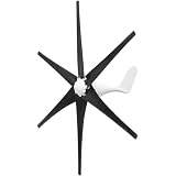BAOJUHUIKANG 5000W Horizontal 6 Blades Wind Turbine Generator 12V/24V