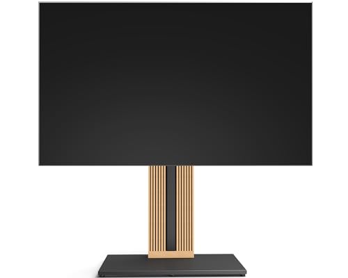 FITUEYES Design Floor TV Stand for 55-88 inch TV, Modern TV Stand with Concealed Storage Cable Management, Black, ZEN Series High Type