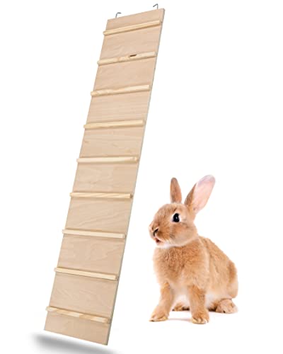 PETGARD Échelle en bois WEGA 85 - Extension cage en bois - Accessoires cage pour rongeurs - Échelle en bois pour cage de lapin - Accessoires d'écurie 85 x 18 x 1 cm