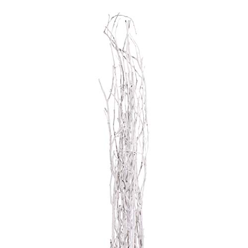Green Floral Crafts - Birch Branches Perfect for Floor Vases, Centerpieces, & Arrangements (3-4 Feet, Snowy White)