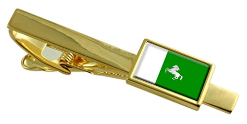 Clip de corbata de oro de Ciudad de Tomsk Rusia ideal para bodas y galas internacionales
