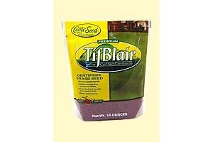 Centipede Grass Seeds (Tifblair Certified) - Lush, Dense Lawn in 1 LB...