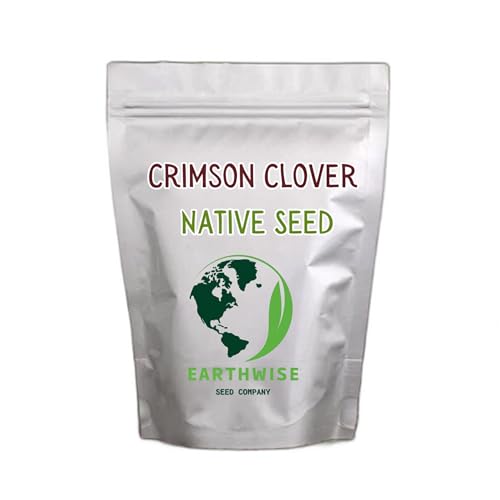 Earthwise Crimson Clover Seed (Trifolium incarnatum) - Nitrogen-Fixing Cover Crop Organic Pollinator Friendly Chemical-Free Drought Tolerant Low Maintenance Covers Up to 500 sq ft 1/2 lb