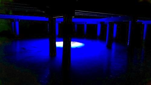 Green Blob Outdoors Jumbo 30000 Lumens 600 Led Underwater Fishing Light 110 Volt Ac 3 Prong Plug Includes Timer W Photocel 30Ft Power Cord (Choice Of Green, Blue, Or White) (Blue) #TOP6