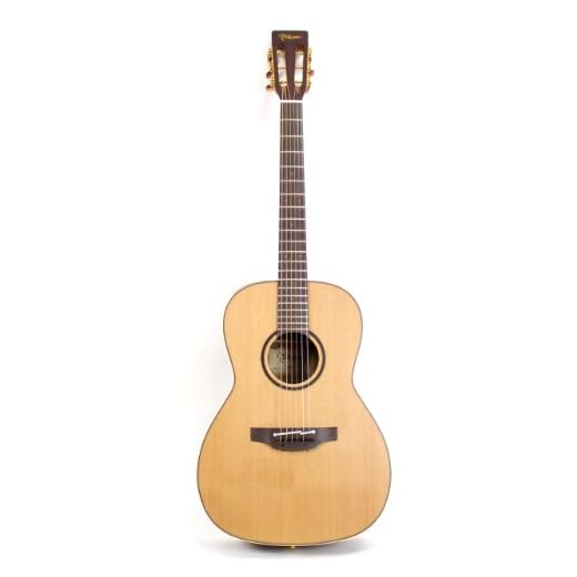 Takamine Pro Series 3 P3NY New Yorker Body Acoustic Electric Guitar with Case