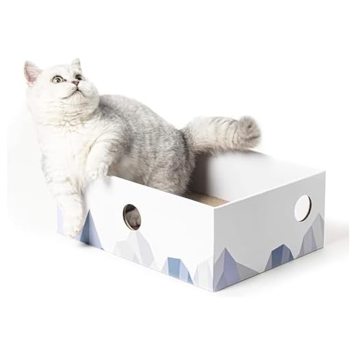Conlun Krabpads voor katten, krabplank, draagbare kattenkrabbox met kattenkrabplank, robuust, dubbelzijdig krabkarton voor katten en interactief gatendesign, krabkarton voor katten, medium, wit